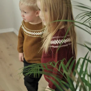 Alm-tröja