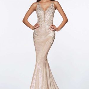 Champagne/Gold Mermaid dress
