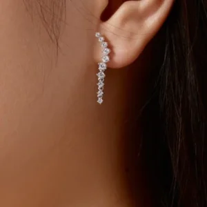 Tassel drop earrings
